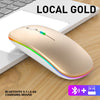 Mouse Dual Mode Bluetooth Wireless USB Rechargeable RGB Mouse Silent Ergonomic Mouse With Backlight For Laptop PC ipad