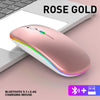 Mouse Dual Mode Bluetooth Wireless USB Rechargeable RGB Mouse Silent Ergonomic Mouse With Backlight For Laptop PC ipad